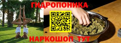 молекула духа Гусев
